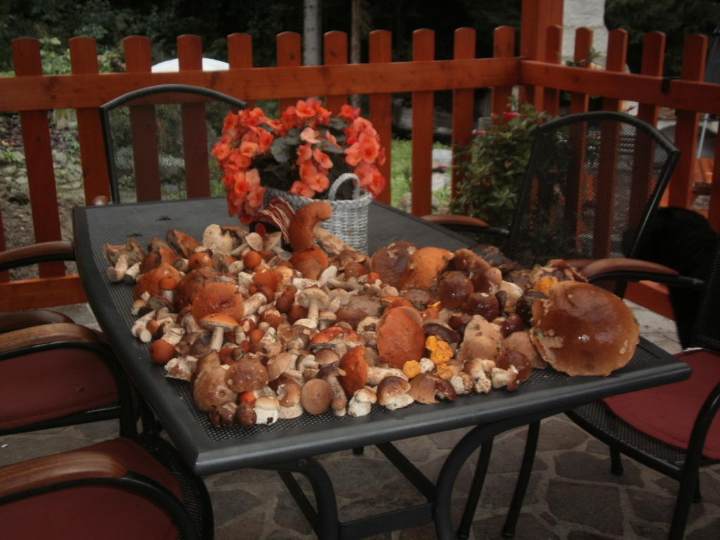 Wellness Penzion Harmonie Rohanov Prachatice Kültér fotó